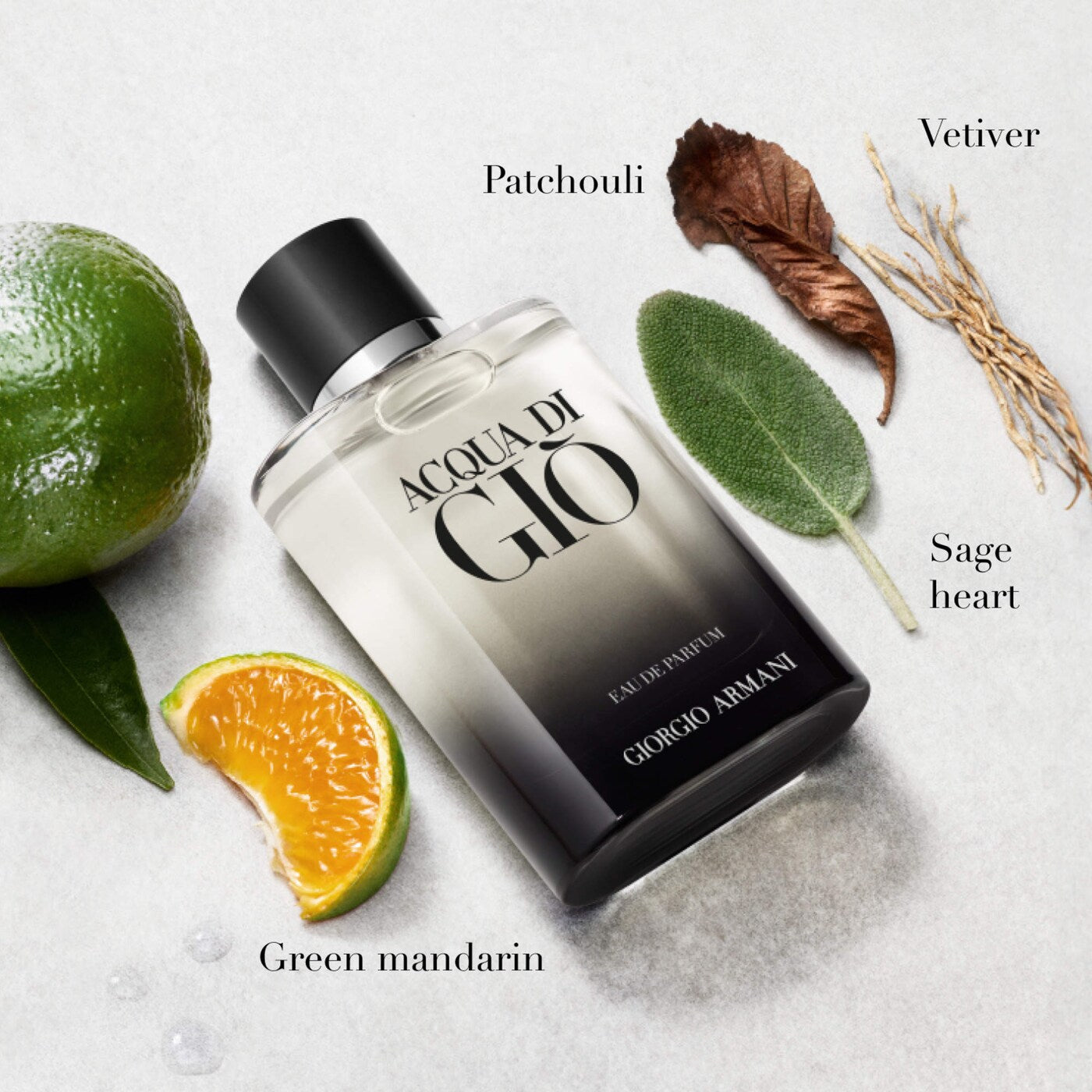 Giorgio Armani Acqua di Giò Eau de Parfum