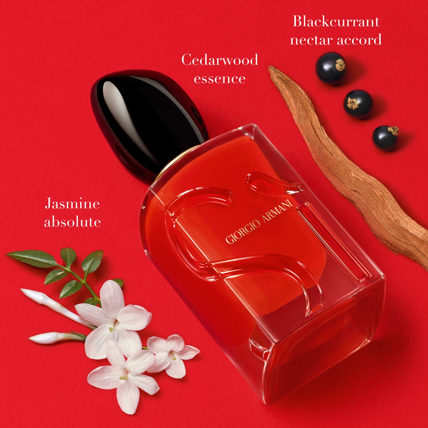 Giorgio Armani Si Passione Eau de Parfum Collector Edition